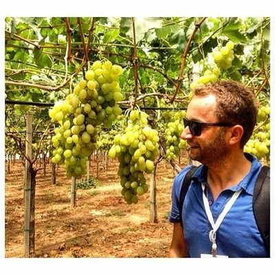 trcntkr's profile picture. PhD, Viticulturist 🍇