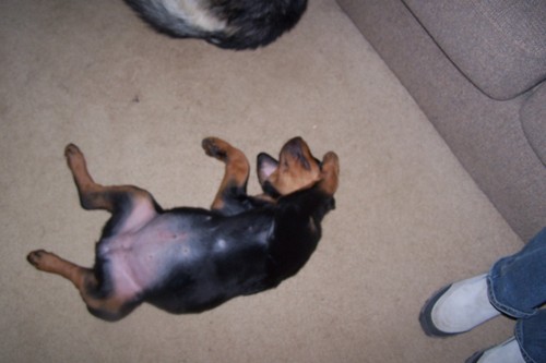 TeeWalton's profile picture. 