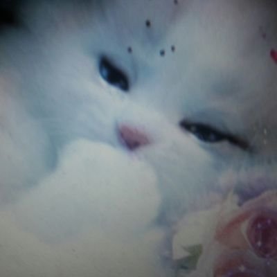 jsmnn2's profile picture. 