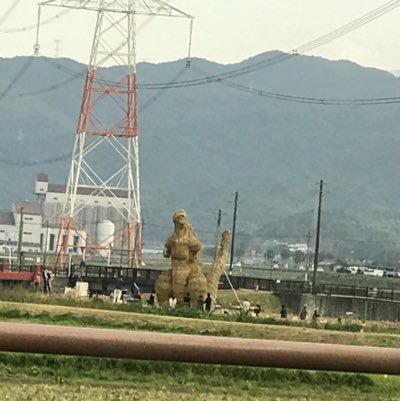 zebrakk22's profile picture. 