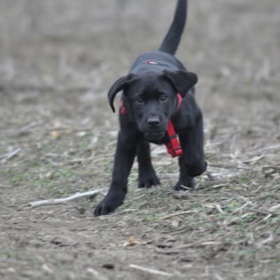 Juliafshr's profile picture. CASTLE, NATHAN FILLION, FIREFLY, CASTLE, NATHAN FILLION, FIREFLY, NATHAN CASTLE, FILLION.... Wait... What?!