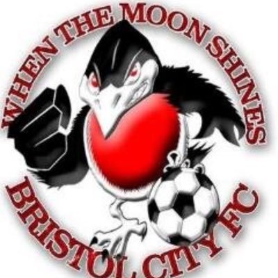 Bristol City Fan⚽ST Holder