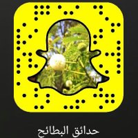 albataeh_parks (@albataeh_parks) Twitter profile photo