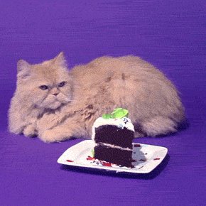 phtester2013's profile picture. Just a tester. Ignore me. :)