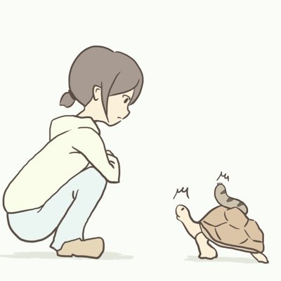 かめなまこさんのプロフィール画像