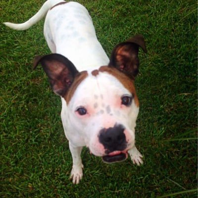 mrspowelltwice's profile picture. 