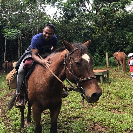 amour_animaux's profile picture. Keeping it simple