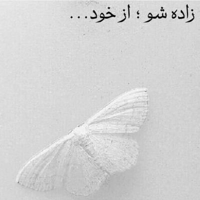 bahrami85's profile picture. ‏‏‏‏‏‏‏‏‏ندیدنت سخته ولی همین که میدونم هستی و حالت خوبه، دنیا زیباست...