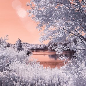 Watch neat Infrared photos or siliconpr0n on Flickr: https://t.co/vD6gNHVn8k