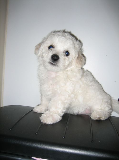 audell's profile picture. 