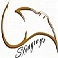 Stingray Sports (@stingraysports) 's Twitter Profile