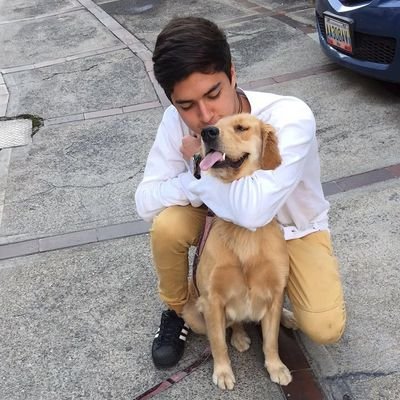 arreagameibel81's profile picture.