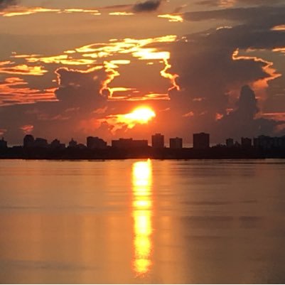 South Beach Vascular Profile