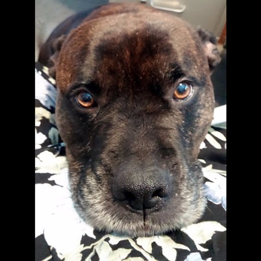 layerperception's profile picture. Home is where the pen meets the paper. I've been told I'm hoarding my words, and here I shall set some free. #writer #reader #poetry #fiction #nonfiction