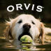 Orvis Dog Supplies
