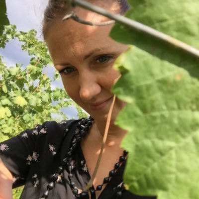 StenmanLanghoff's profile picture. Wine Director & Owner @restaurantask & @restaurantjord