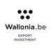 Wallonia Export & Investment Agency (@AWEX_Belgium) Twitter profile photo