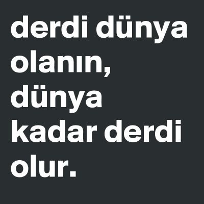 carullah17's profile picture. 