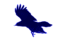 bluecrowmusic's profile image