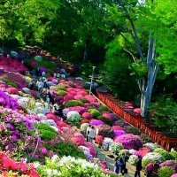 من دون قسوه (@note3_sk) 's Twitter Profile