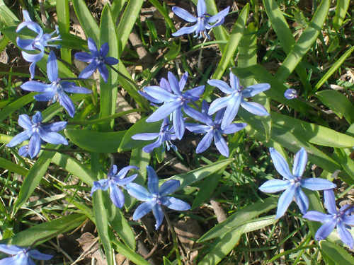 Jesse_Parsons's profile picture. College Professor@DC, Student@UOIT, Researcher@UOIT, Songwriter@Home