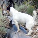 karla ely - @karlakook - Twitter