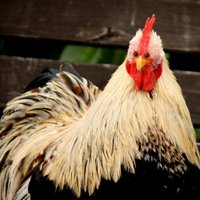 ugly websites (@uglywebsites) 's Twitter Profile