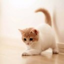 Adrian Hung - @AdrianHung6 - Twitter