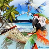 Matt Stamm (@matt_stamm8) 's Twitter Profile