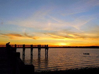 perfectprint2's profile picture. Since 1989, Perfect Print has been saving our clients up to 50% on imaging supplies for their laser printers and copier machines. Contact us today.