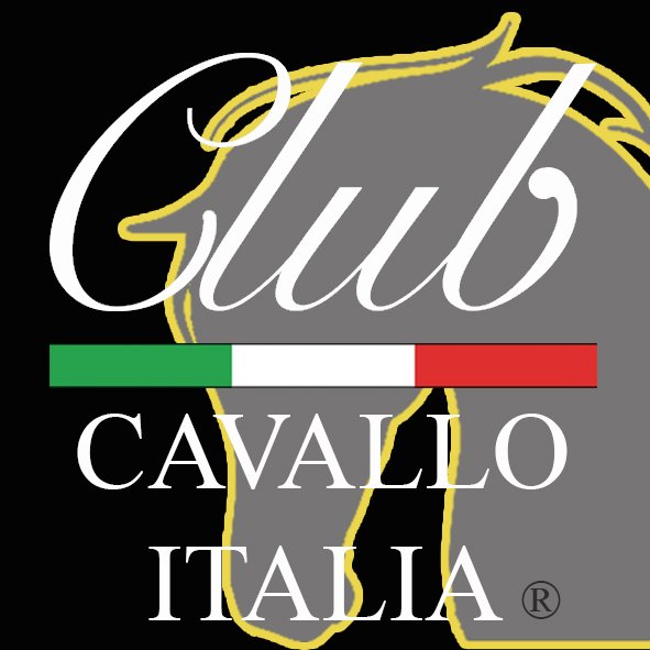 ClubCavallo Profile Picture