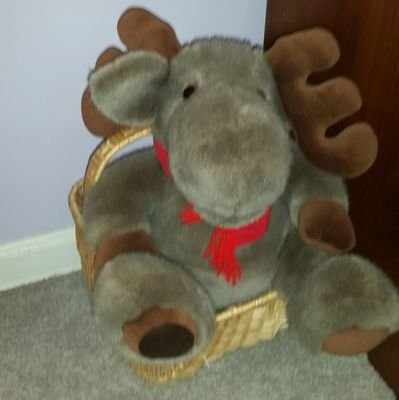 Not a moose, i am human. Need to laugh or at least smile. Longing for a simpler time.