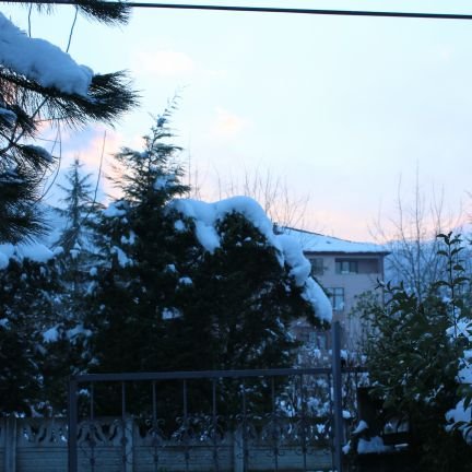 oscan0's profile picture. Gündem