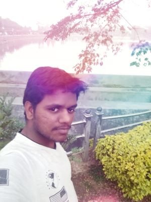 sdhana95's profile picture. 