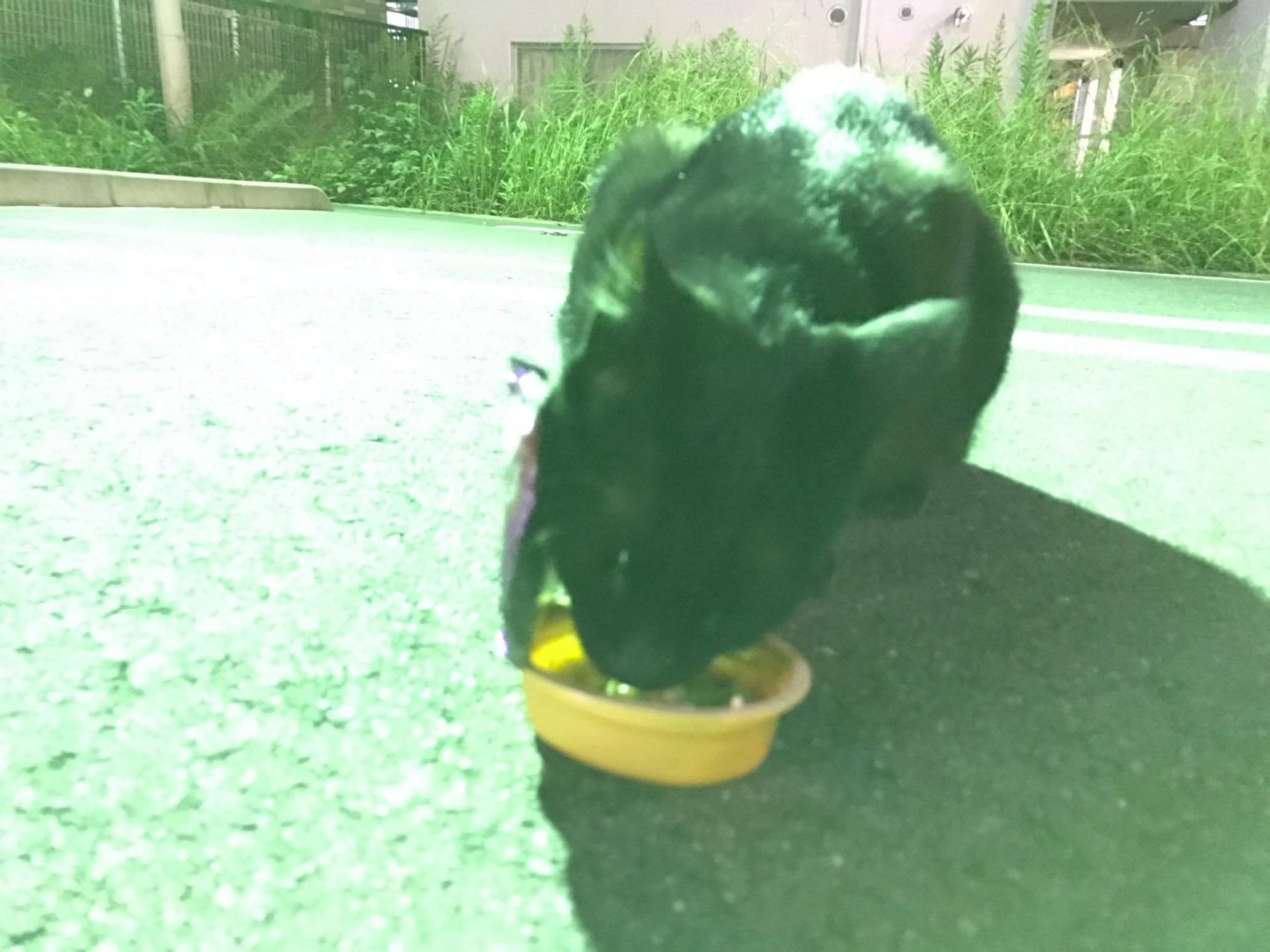 Checkcheck2614's profile picture. 