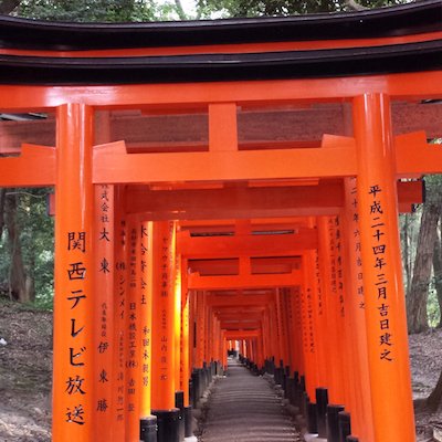 IndiumTriflate's profile picture. Scientist. Obsessed with molecules. Venting political frustrations and solvent vapors.