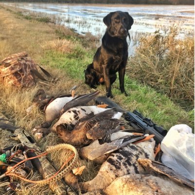 A self employed, diehard sports fan (LSU, Pelicans and Saints) Serious duck and goose hunter.  A feral hog's worst nightmare.