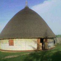 Tehelku assena (@assenatehelku) Twitter profile photo