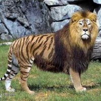 Aslan Kaplan (@etrosplanetos) 's Twitter Profile Photo Aslan Kaplan (@etrosplanetos) 's Twitter Profile Photo