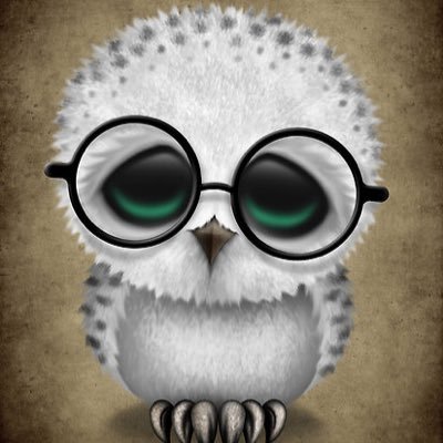 SAOSpksVolumes's profile picture. Photographer. Writer. Copy Editor. Small Business Owner. Community Service Advocate. Hip Hop in all 10 Elements. SAO Photography. Sowing Oates, Inc.