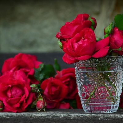 🍃أخشى من عتابٍ يُفهم كرهاًُ، ومن صمتٍ يُفهم تجاهلاًُ، ومن كلامٍ قد أندم عليه ، ومن رحيلٍ يؤلمني ، ومن بقاءٍ بالإسم فقط. 🍃