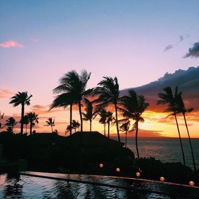 sprinyfulpw's profile picture. Hola