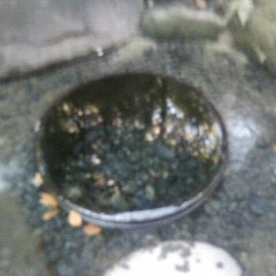 takaharada's profile picture. 