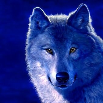 Gaming Wolf 123 On Twitter Got A New Banner For My Youtube Channel
