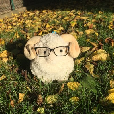 kleideraufreise's profile picture. Working on it...