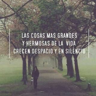 jaimevalencia71's profile picture. Trabajador 100%