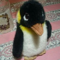 〝氷帝ペンギン〟 (@penguin_of_ice) 's Twitter Profile