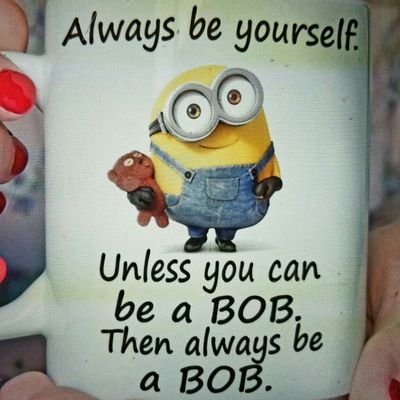 ScheidBob's profile picture. 