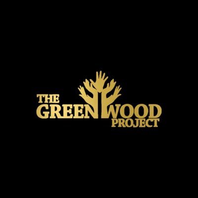 InvestBlackNow's profile picture. The future of the Black Community starts here.