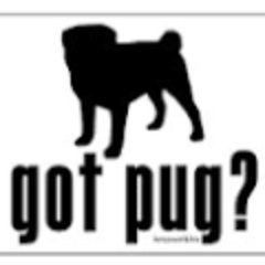 We/Us/Ours,Wife, three pugs to love us. HS ELL teacher, Fan of Gonzaga hoops, USWNT, and NASA. Love learning, literacy and tech. My own views/ personal account.